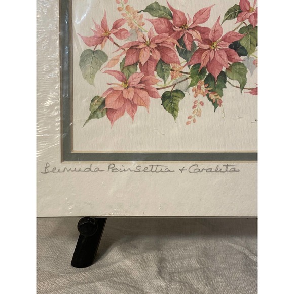 Signed Watercolor Print “Bermuda Poinsettia and Coralita” by Carole Holding - Picture 11 of 12